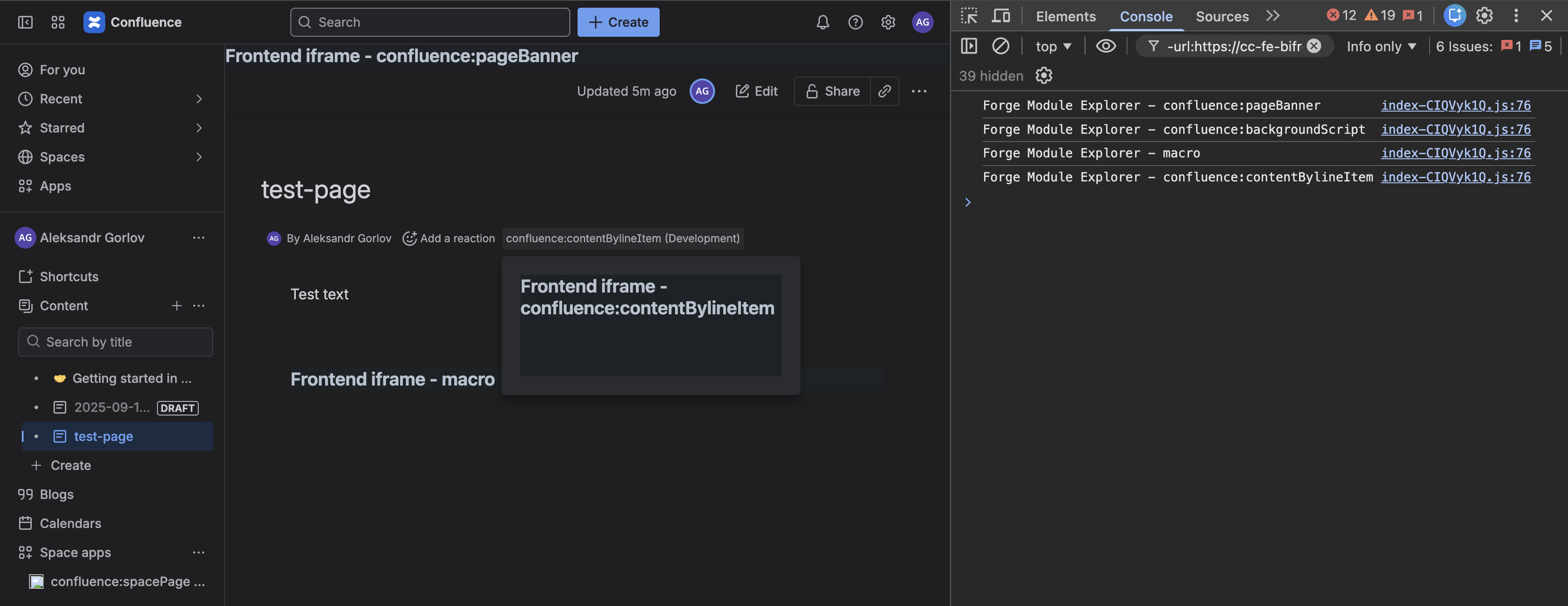 Forge Module Explorer Confluence Page